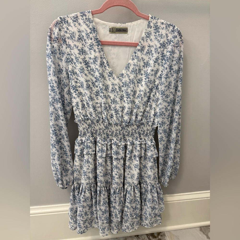 Floral Blue and White Dress